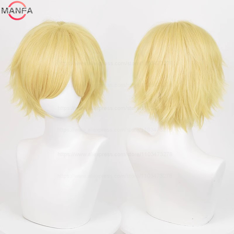 Anime 30 cm korte rechte cospl - Synthetic Braided Wigs For Black Women recensie en prijs